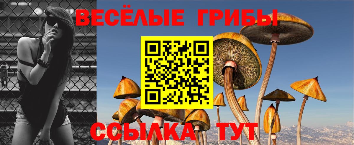 Моздок  Псилоцибиновые грибы Magic Shrooms  Вход с VPN 